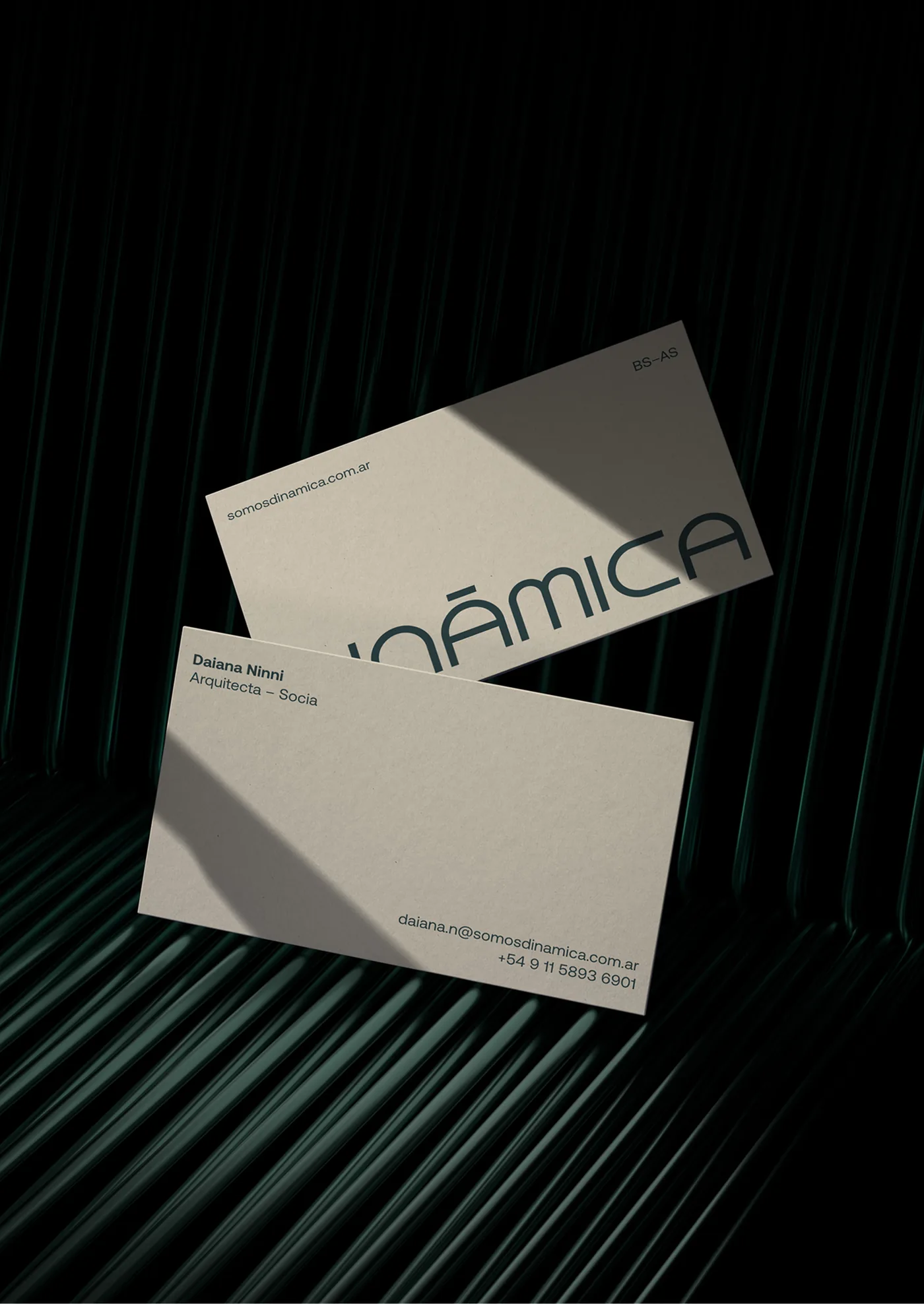 Dinámica business cards